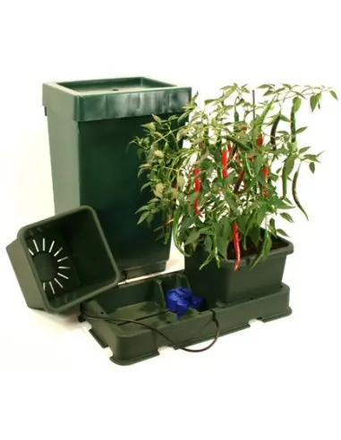 AUTOPOT Easy2grow 2 Saksılı Kit