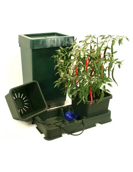 AUTOPOT Easy2grow 2 Saksılı Kit