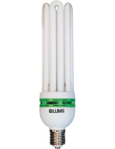 Lumii 125w Ampül Çiçeklenme 2700K