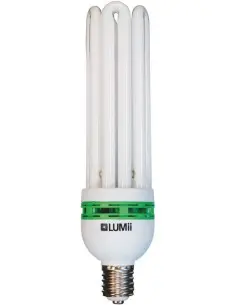 Lumii 125w Ampül Çiçeklenme 2700K