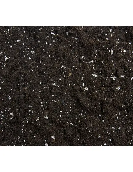 Plagron Bat Mix 25 Litre