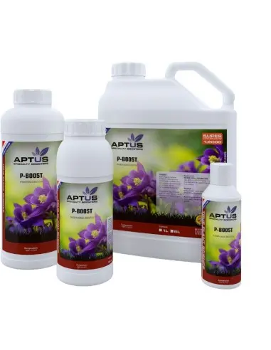 Aptus P Boost 50 ml