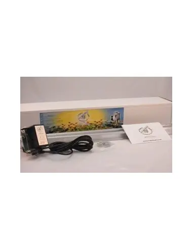 LightRail 4.0 Ray Seti