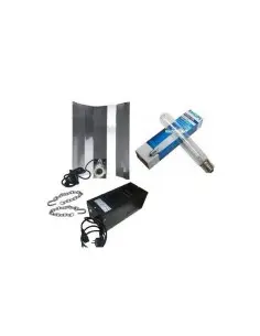 250w Philips MH Set Growth