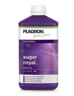 Plagron Sugar Royal 1 Litre