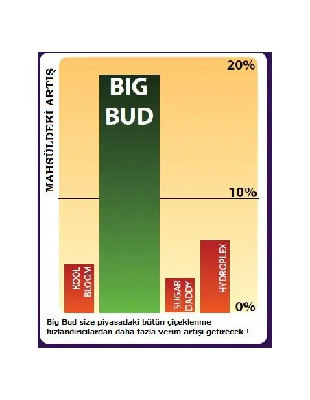 Big Bud 500 ml