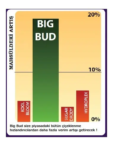 Big Bud 500 ml