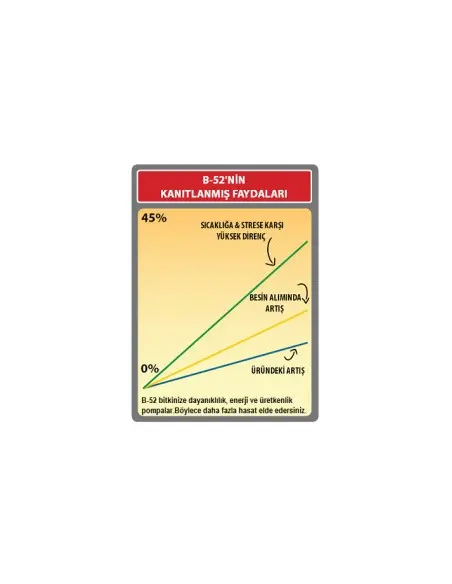 B-52 Fertilizer Booster 250 ml