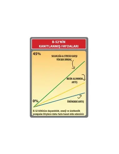 B-52 Fertilizer Booster 500 ml