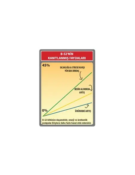 B-52 Fertilizer Booster 500 ml
