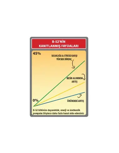 B-52 Fertilizer Booster 10 Litre