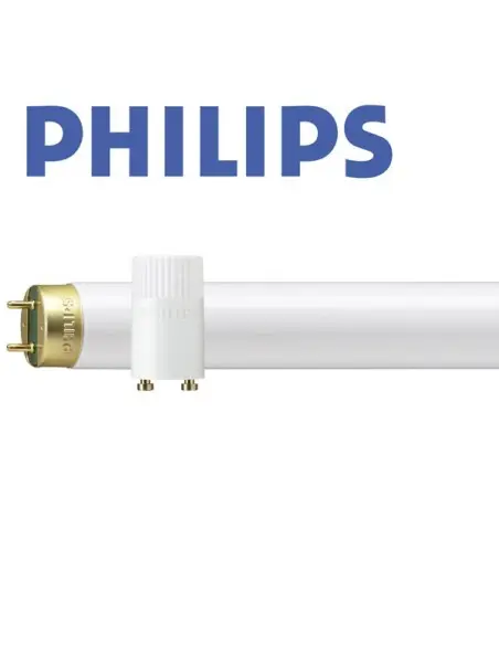 36W Philips Gelişim Dönemi