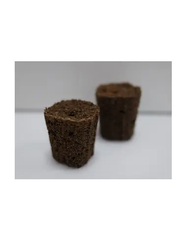CANNA Rootplugs 77 adet