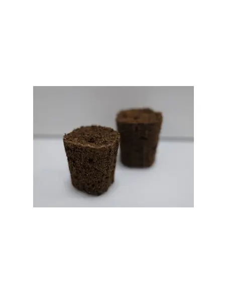 CANNA Rootplugs 77 adet
