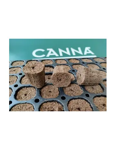 CANNA Rootplugs 77 adet