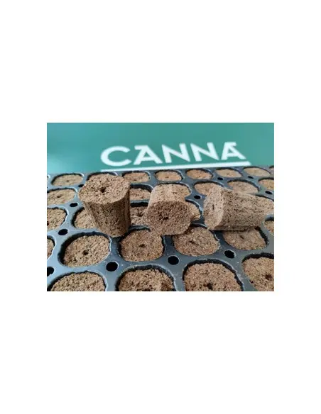 CANNA Rootplugs 77 adet