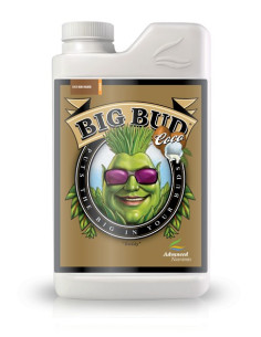 Big Bud CoCo 500ml