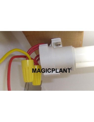 Neon Ampül için Soket